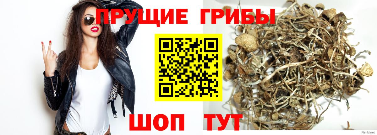 Галлюциногенные грибы ЛСД Тихорецк